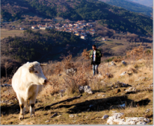 Kmetija Trček Hrastovlje